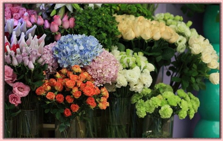 開花店學(xué)插花培訓(xùn)班的學(xué)費(fèi)多少錢一般如何了解選擇