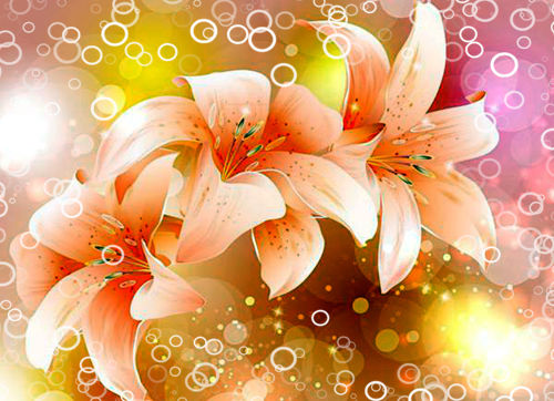 百合花怎么養(yǎng)？愛丁堡簡(jiǎn)述百合花種植護(hù)理的辦法