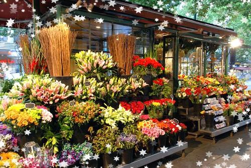 新手如何開花店？經(jīng)營花店的要注意的八大問題