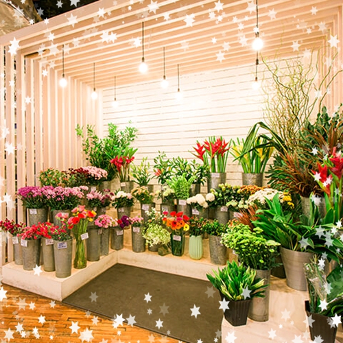 新手如何開花店？經(jīng)營花店的要注意的八大問題